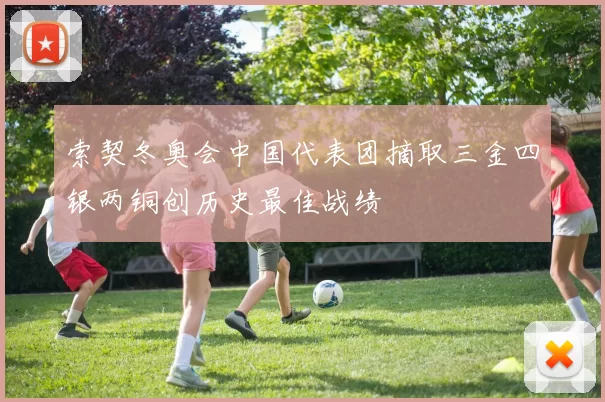 索契冬奥会中国代表团摘取三金四银两铜创历史最佳战绩