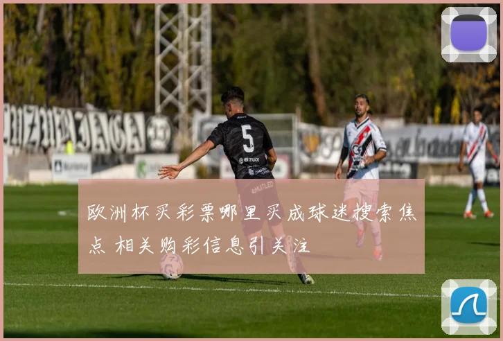 欧洲杯买彩票哪里买成球迷搜索焦点 相关购彩信息引关注