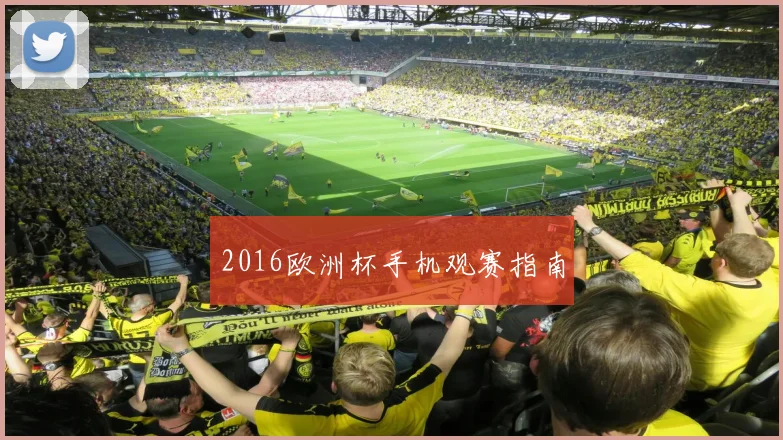 2016欧洲杯手机观赛指南