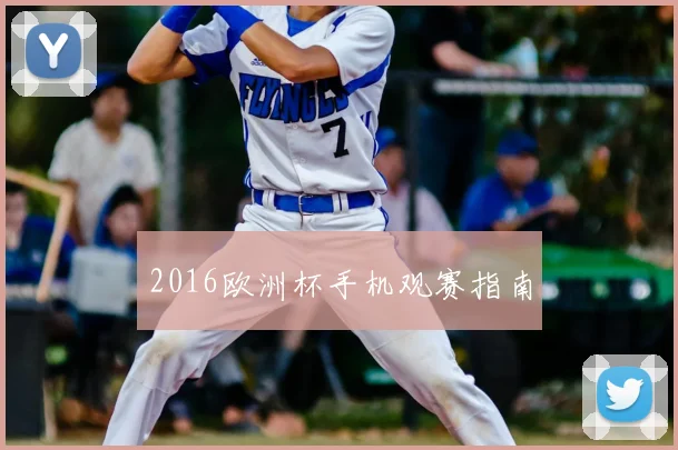 2016欧洲杯手机观赛指南